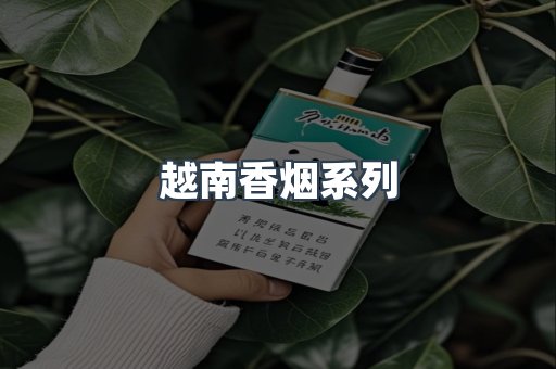越南香烟系列